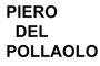 A MEDIDA POR ENCARGO